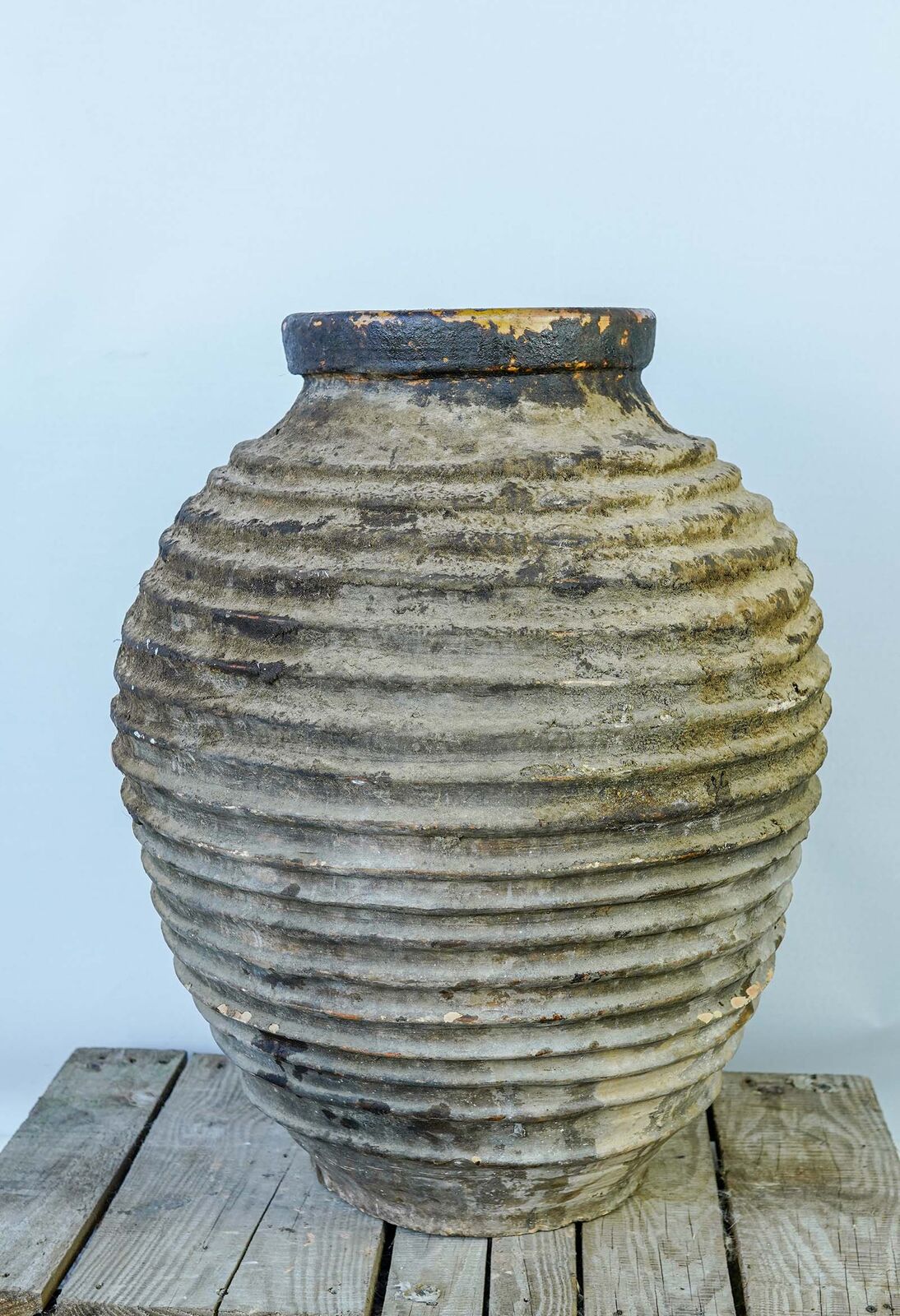 Ribbed Globe Jar — dark grey-green ribbed round clay jar with a mossy surface