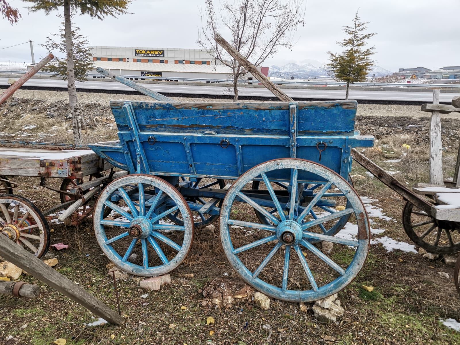 Painted Horse Cart — wooden horse cart with spoked wheels and a blue-painted frame in a yard